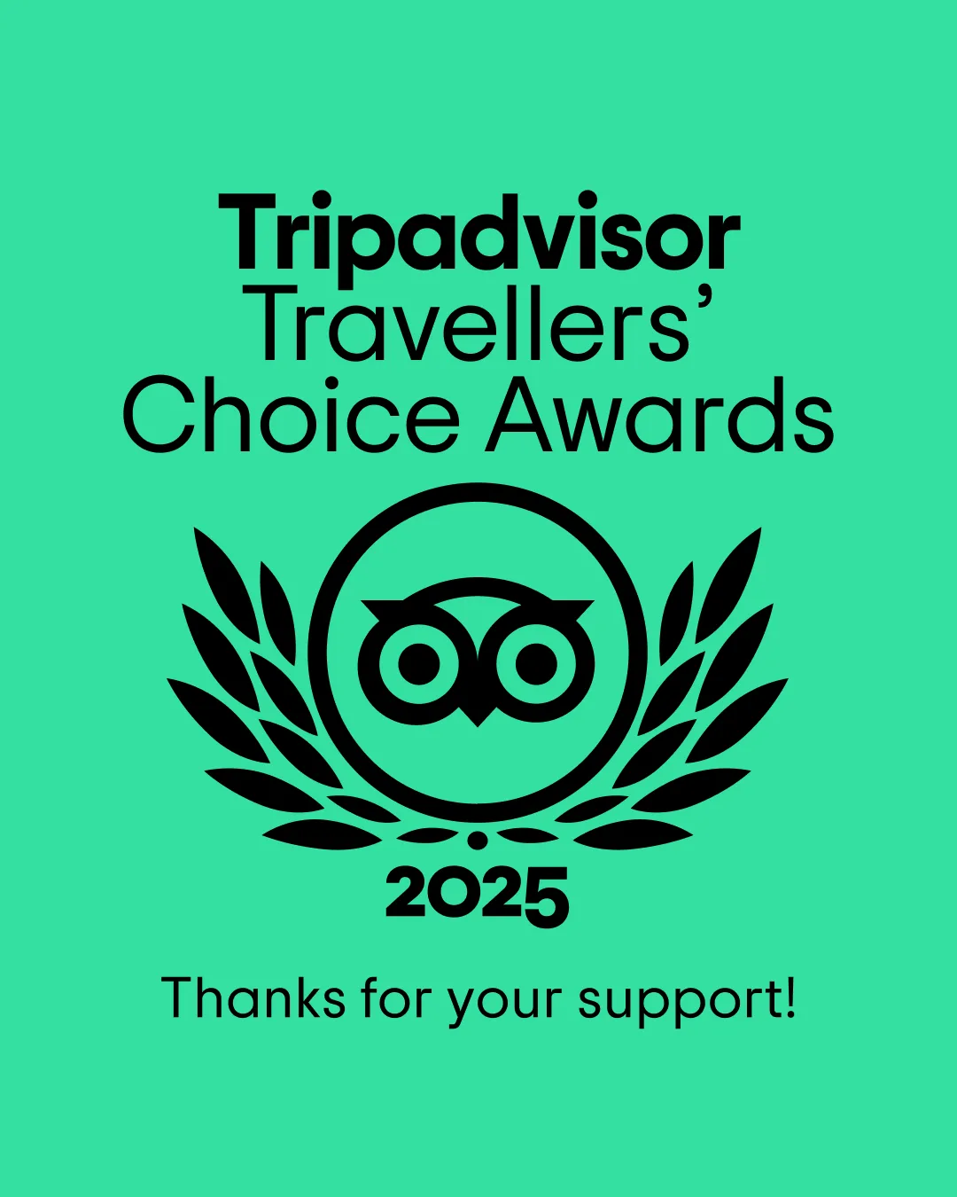 Tripadvisor Travellers' Choice Awards 2025 Award won by Union Wharf Narrowboats
